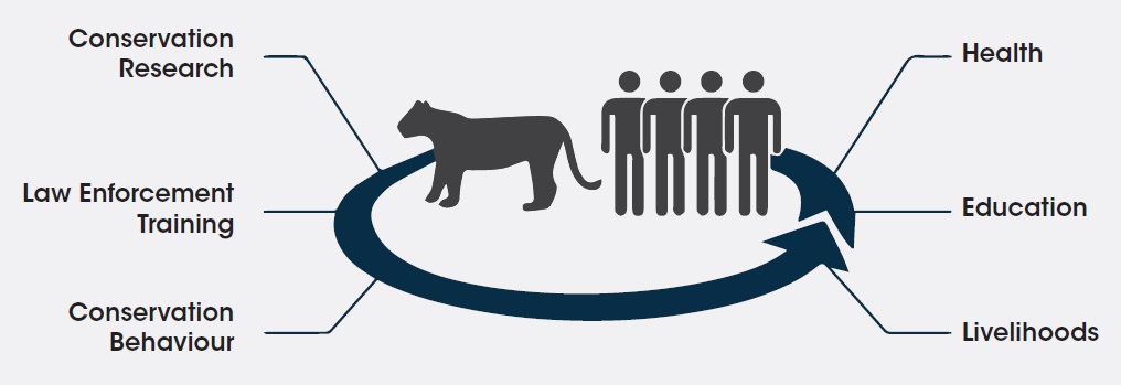 Conservation strategy - WCT - 360 Approach
