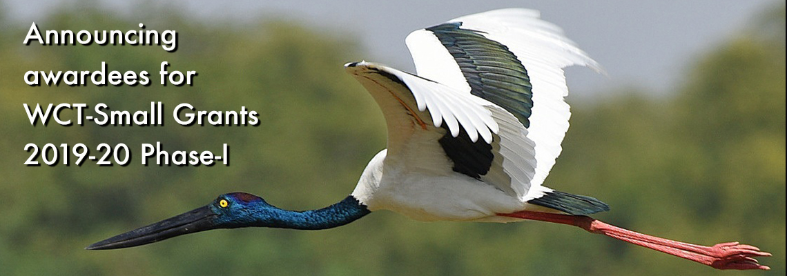 Small Grants - Wildlife Conservation Trust