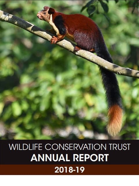 We have put together the annual report to give you a snapshot of the conservation work done by WCT in the course of 2018-19.