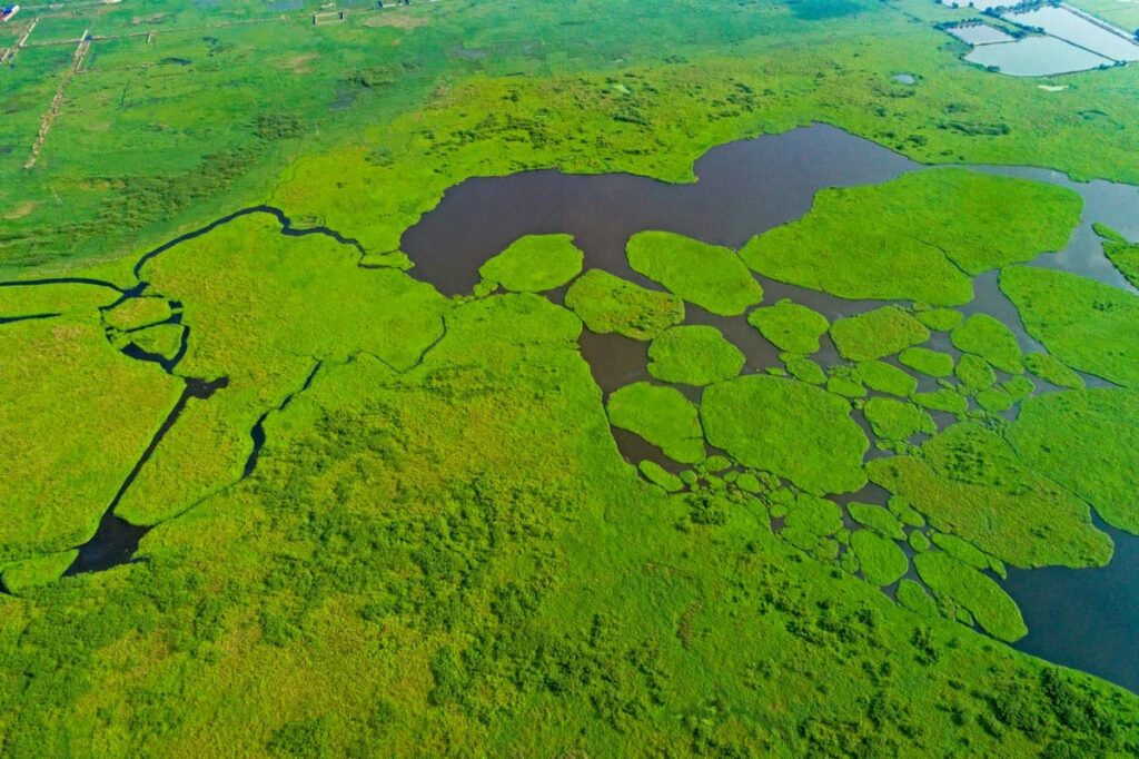 [Expert Speak] Dankuni’s Vanishing Wetlands of The People and For The