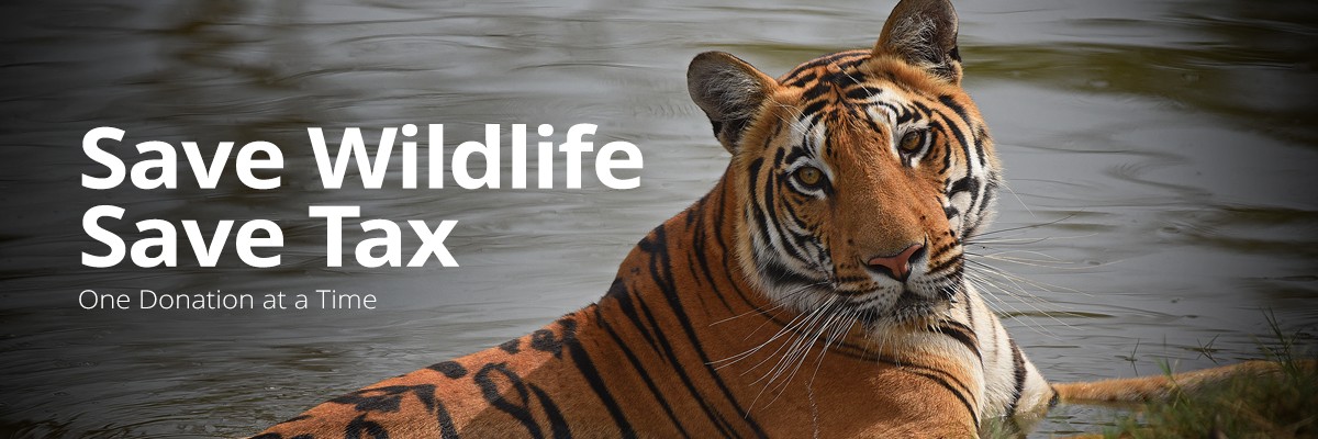 Donate and Save Tax: Help To Safeguard Our Natural Heritage, And Save Tax While Doing So