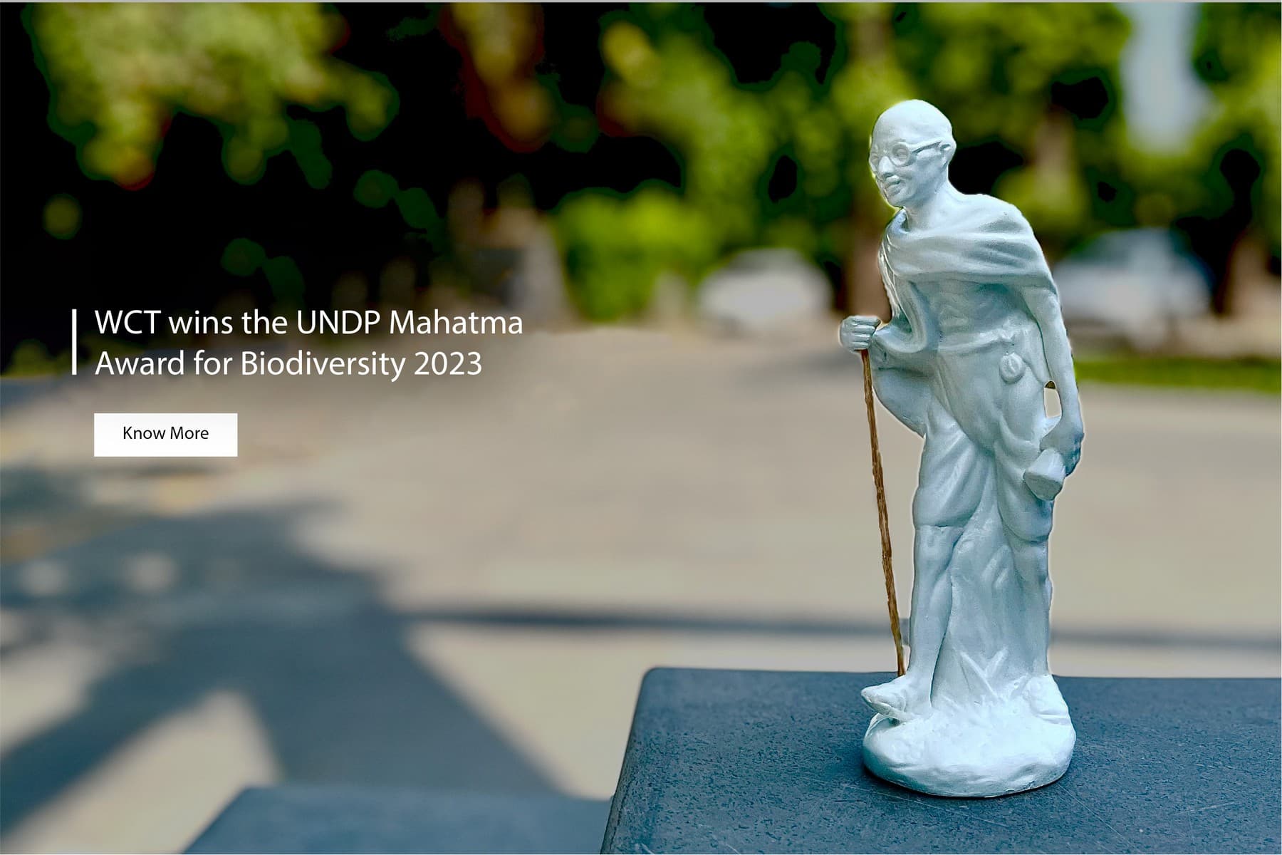 Home - Wildlife Conservation Trust