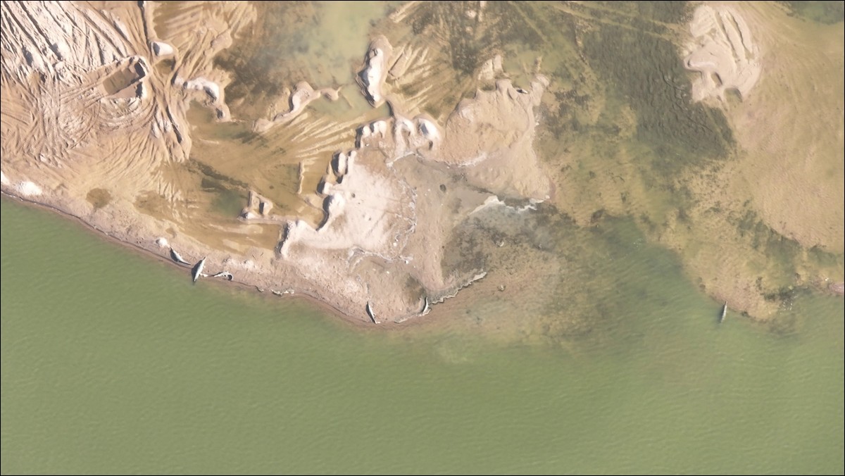 WCT Wins the 2025 Satellites for Biodiversity Award