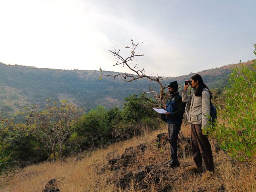 WCT field team carrying out an ungulate line transect survey at the Sagareshwar WLS.
