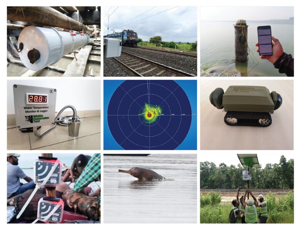 The WildTech (Technology for Wildlife Conservation) project seeks to harness the latest, cutting-edge global advances in electronics, telecommunication, computation, and their translation to open-source and user-friendly technological innovations to enable greater impact for conservation of wildlife and ecosystems.