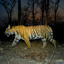 Annals Of The Satpura Uplands- Mapping Past and Present of the Satpura-Melghat Corridor.