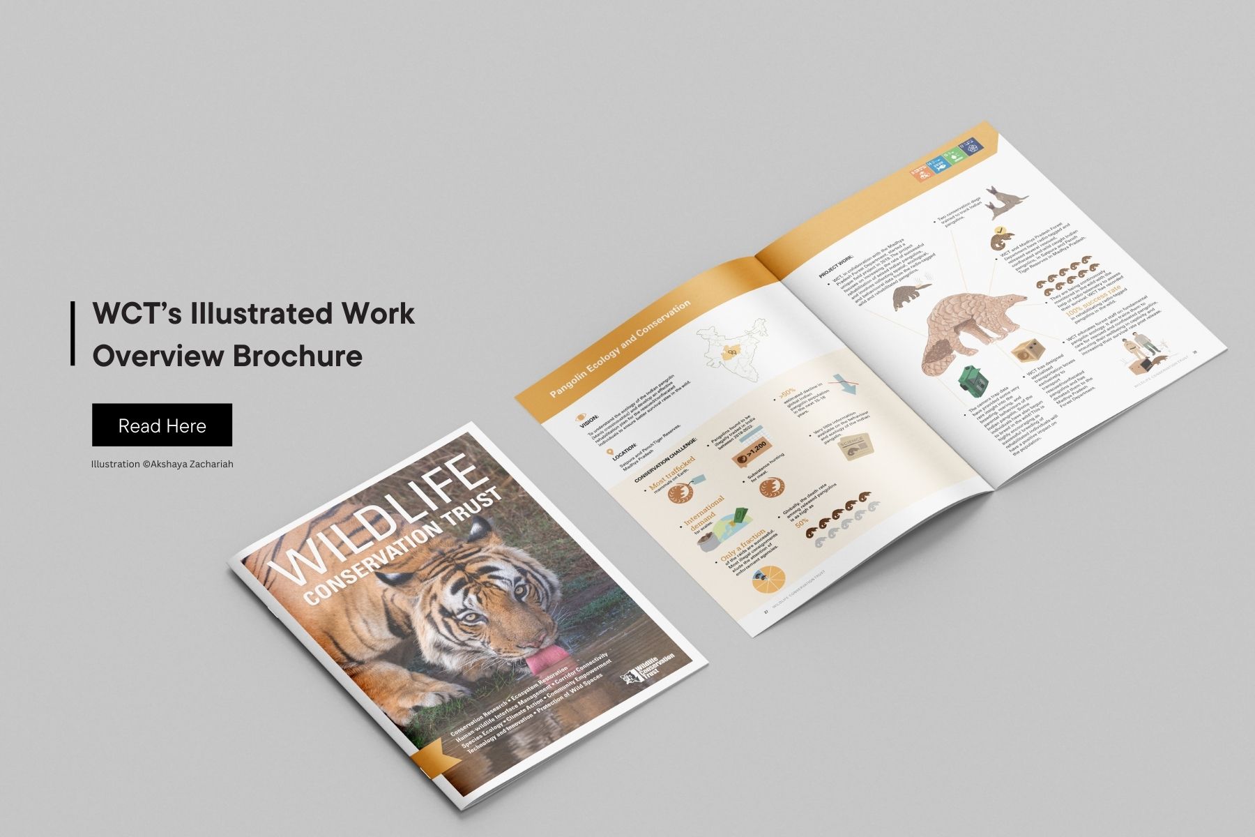 Wildlife Conservation Trust - Brochure 2025