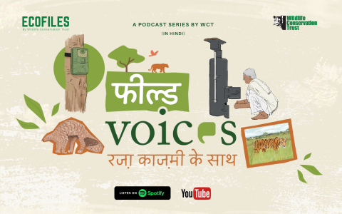 Ecofiles’, a podcast by Wildlife Conservation Trust, aspires to bring forth stories from the natural world, the art and science of conservation, deep dives into natural history, voices of the grassroots workers and field experts, and much more. Tune in to listen to diverse conversations centered around our natural world.