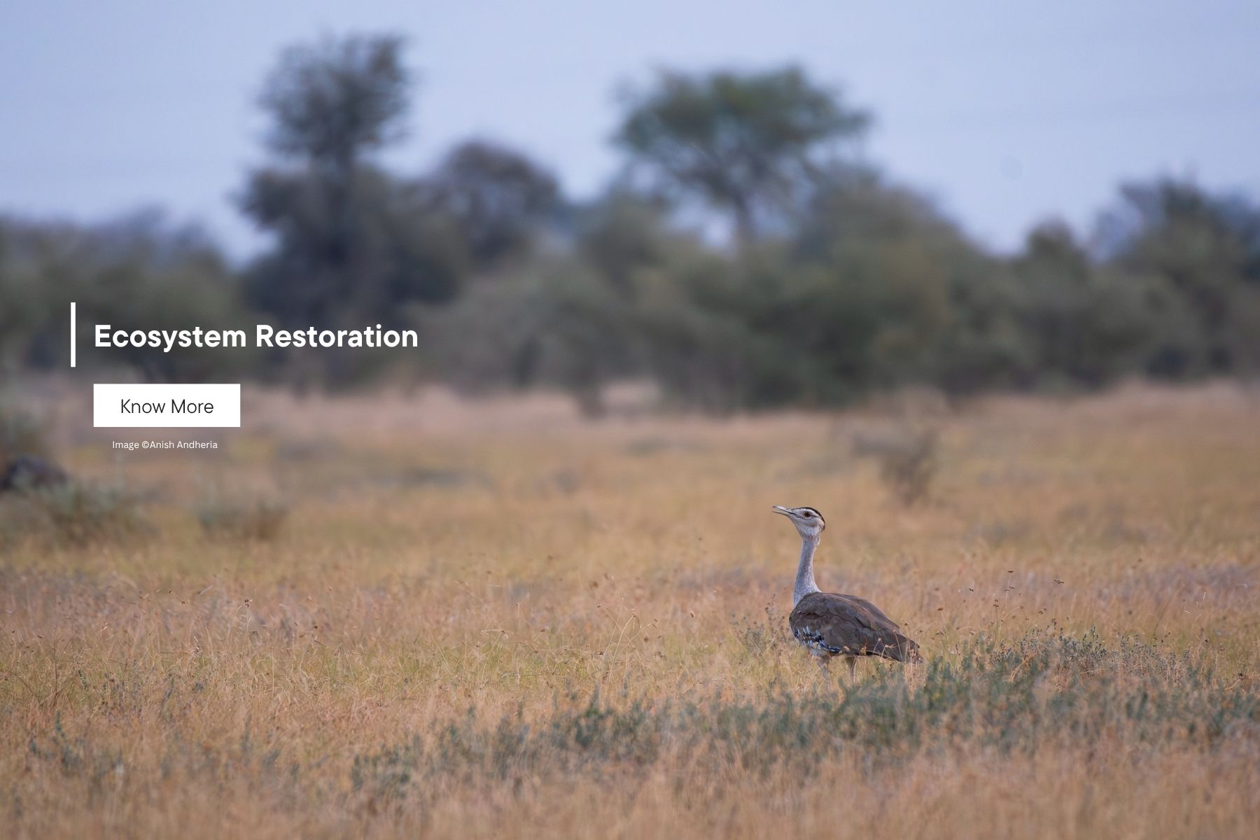 Ecosystem Restoration Programme