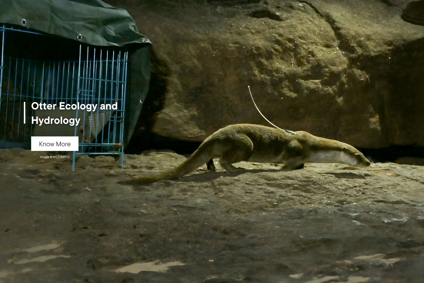 Otter Ecology and Hydrology Project