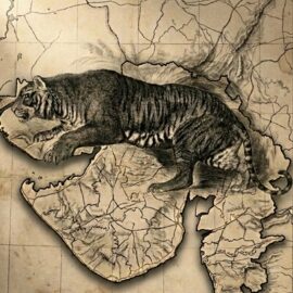 Tiger Story: Lost Stripes of Gujarat