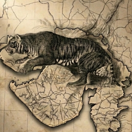 Tiger Story: Lost Stripes of Gujarat