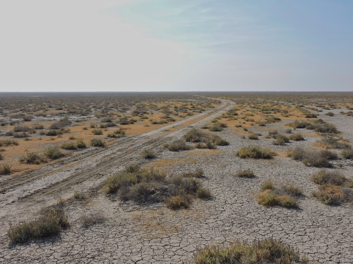 Dry Grasslands as Climate Assets: Lessons from Banni