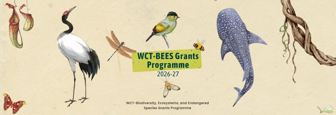 The WCT-Biodiversity, Ecosystems and Endangered Species Grants Programme (WCT-BEES Grants), aims to support critical conservation research and grassroots projects by awarding small grants to promising researchers, conservationists, and conservation organisations. The objective of our small grants programme is to encourage and strengthen on-ground nature conservation work in India.