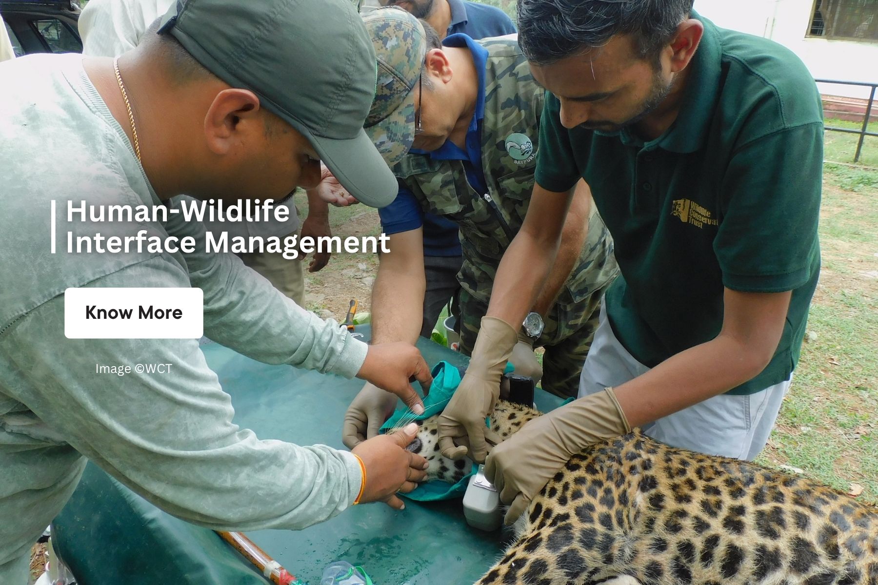 Human-Wildlife Interface Management