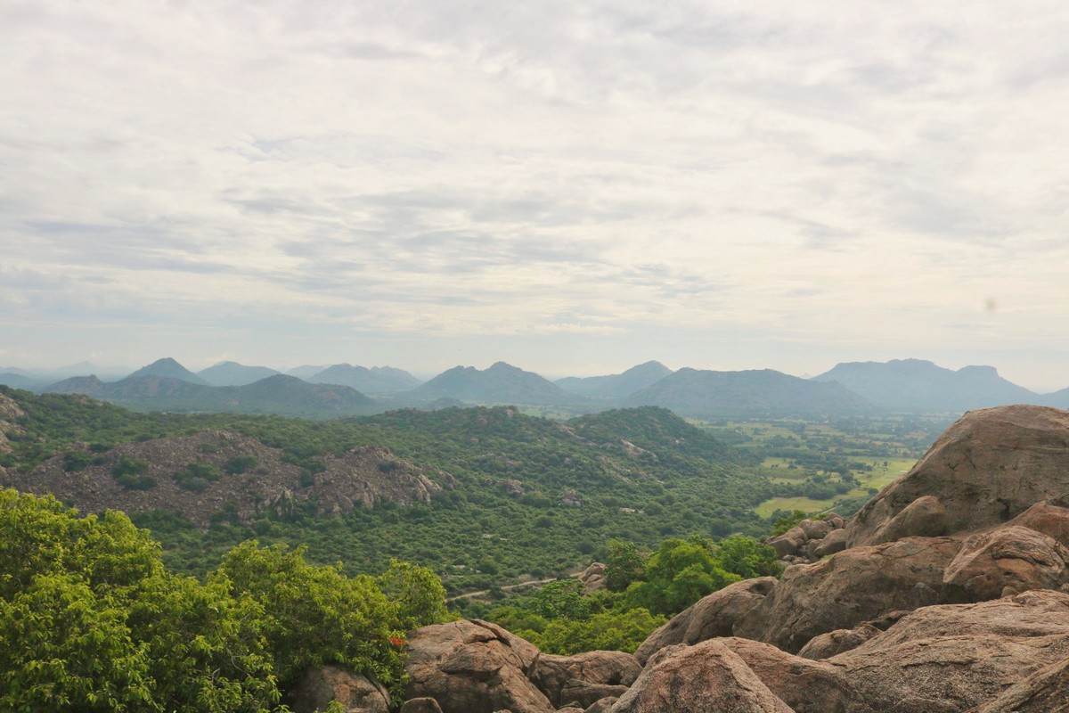 Old-growth forests located on these boulder-studded hillocks are a preferred habitat of the arboreal peacock tarantula. Sadly, these forests are succumbing to human pressures.