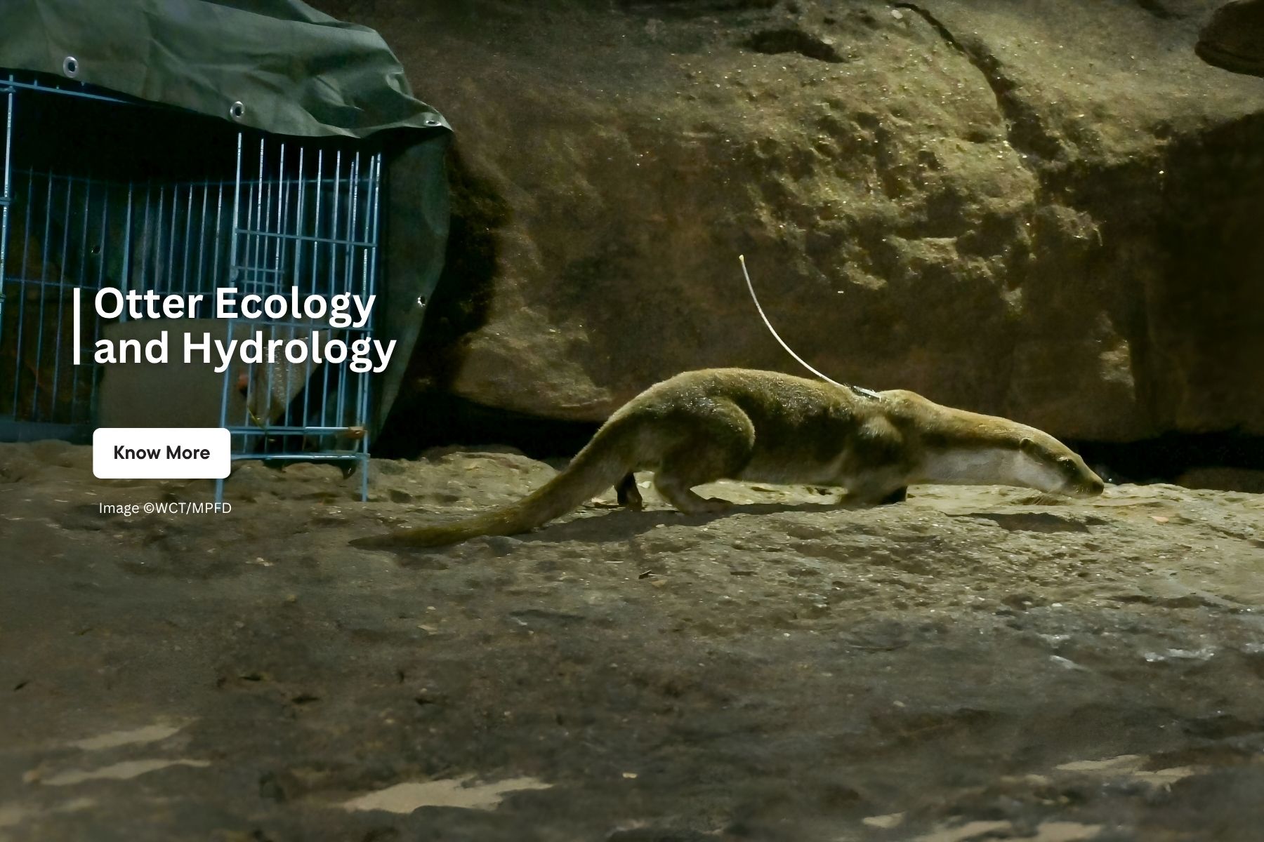 Otter Ecology and Hydrology Project