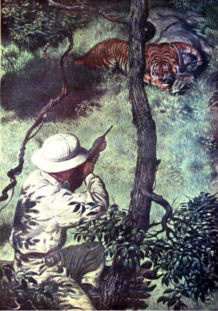 The Road to Project Tiger