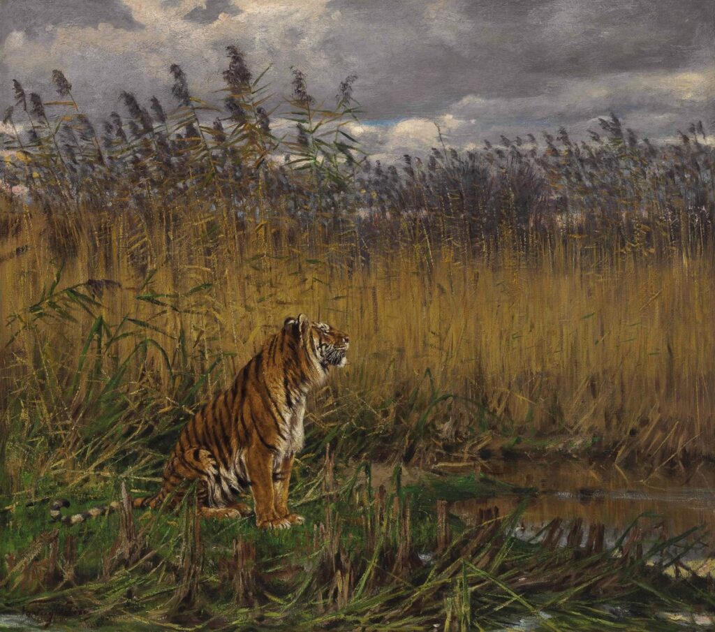 The Road to Project Tiger