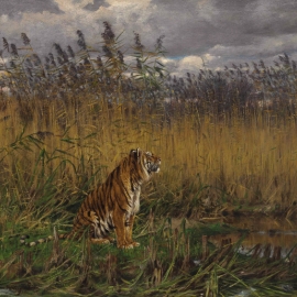 The Road to Project Tiger