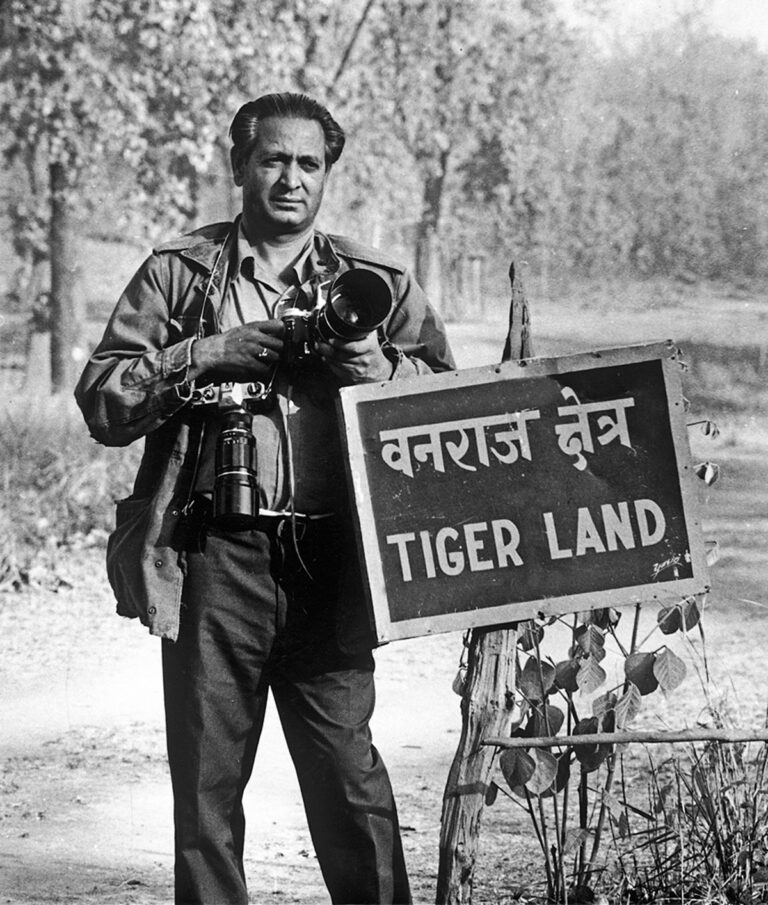 The Road to Project Tiger
