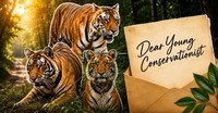 Dear Gen Z Conservationist' What India's Tiger Experts Wish Someone Had Told Them At 20