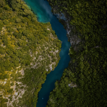 The State of India’s Riverine Ecosystems