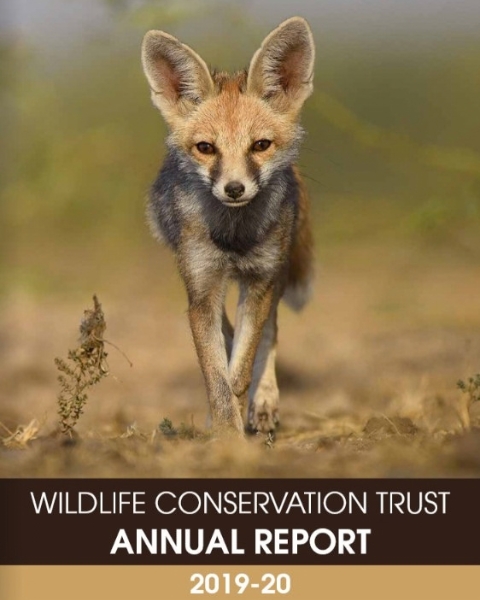 Wildlife Conservation Trust (WCT) – Annual Report FY 19-20
