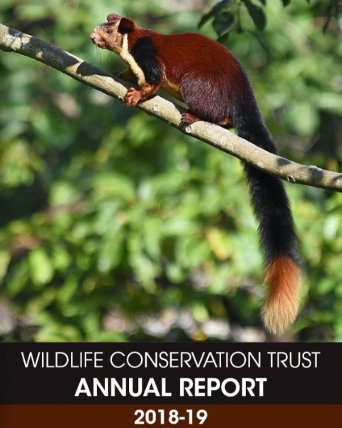Wildlife Conservation Trust (WCT) – Annual Report FY 2018-19