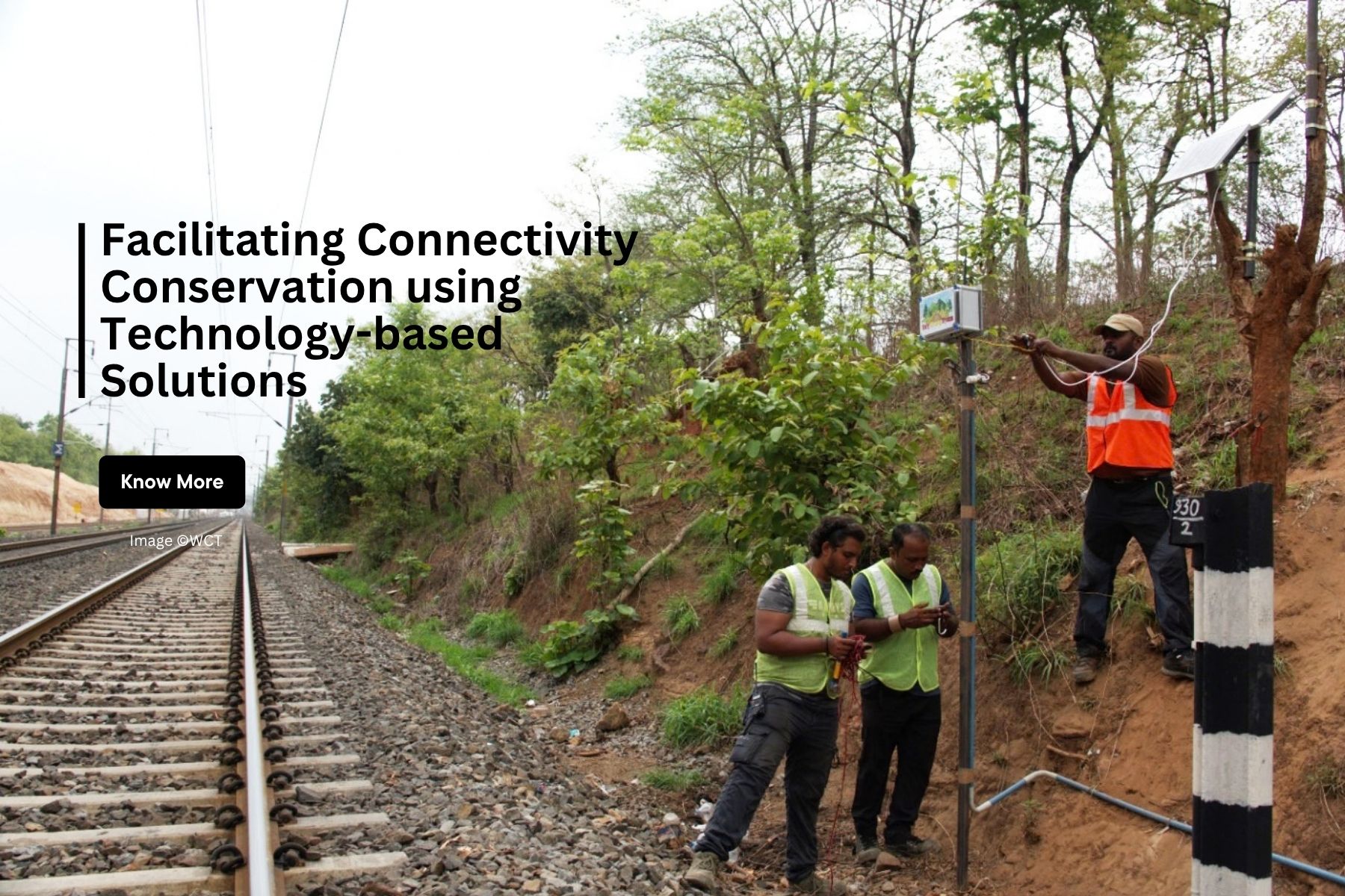 WCT’s Connectivity Conservation team combines the scientific powers of camera trapping, conservation genetics and GIS to study and predict the movement of tigers through complex landscapes that include tiger reserves, other Protected Areas (PAs), relatively less protected but good quality corridors, linear infrastructure, highly degraded forests, revenue land and agricultural land. This helps us identify the most viable corridors, as well as the bottlenecks within them. The research finally feeds into policy recommendations at the state and national levels.