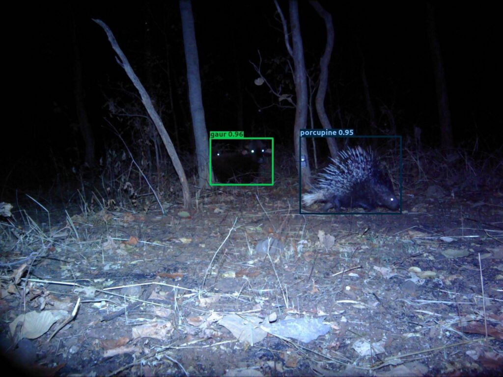 Wildlife Conservation Trust (WCT), in collaboration with Aadax Data Science, has developed an automated species recognition model specifically for the Central Indian landscape. This tool leverages machine learning and computer vision algorithms to automate the species classification process, addressing this critical bottleneck in wildlife research methodology.