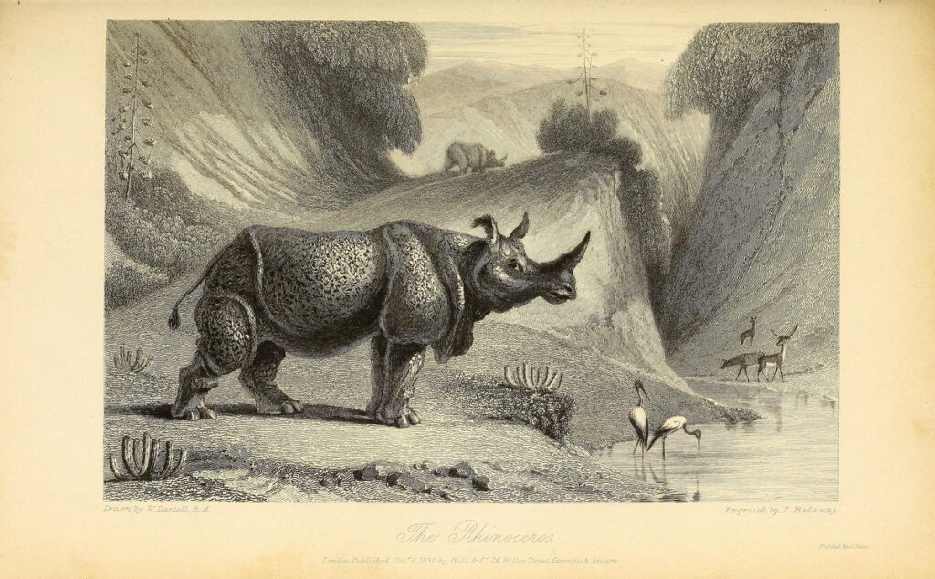 Rhinos in Uttarakhand