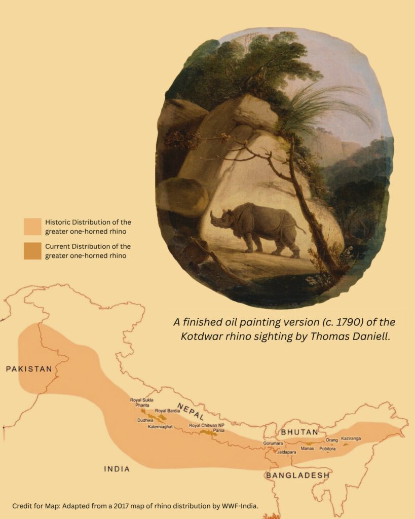 Rhinos in Uttarakhand